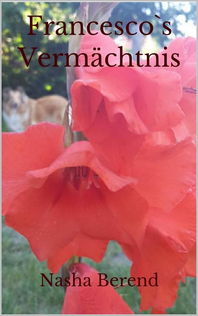 Francescos Vermächtnis