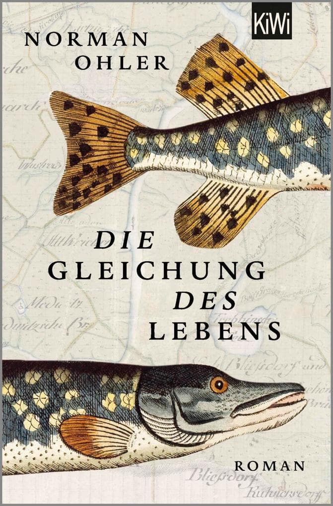Die Gleichung des Lebens: Roman