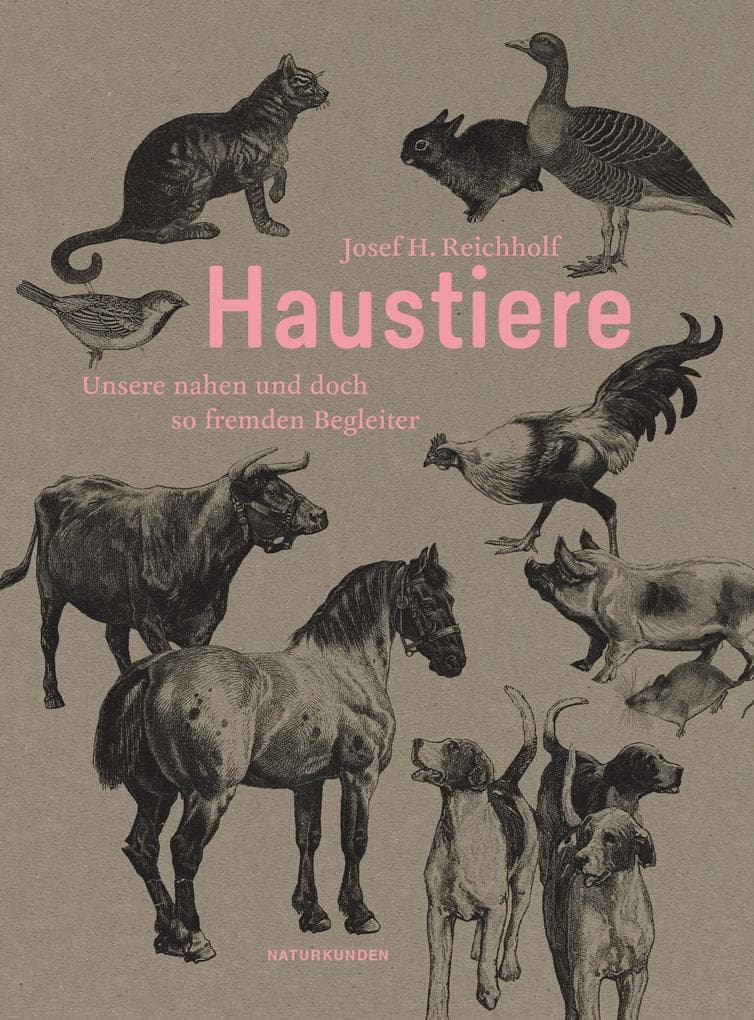 Haustiere: Unsere nahen und doch so fremden Begleiter