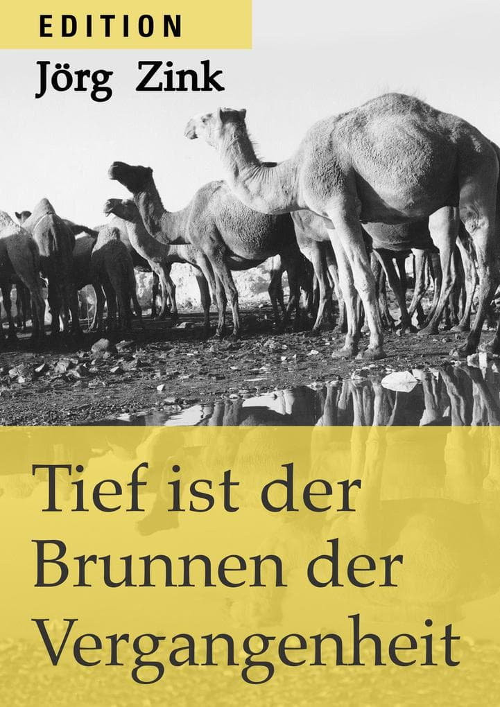 Tief ist der Brunnen der Vergangenheit: Eine Reise durch die Ursprungsländer der Bibel