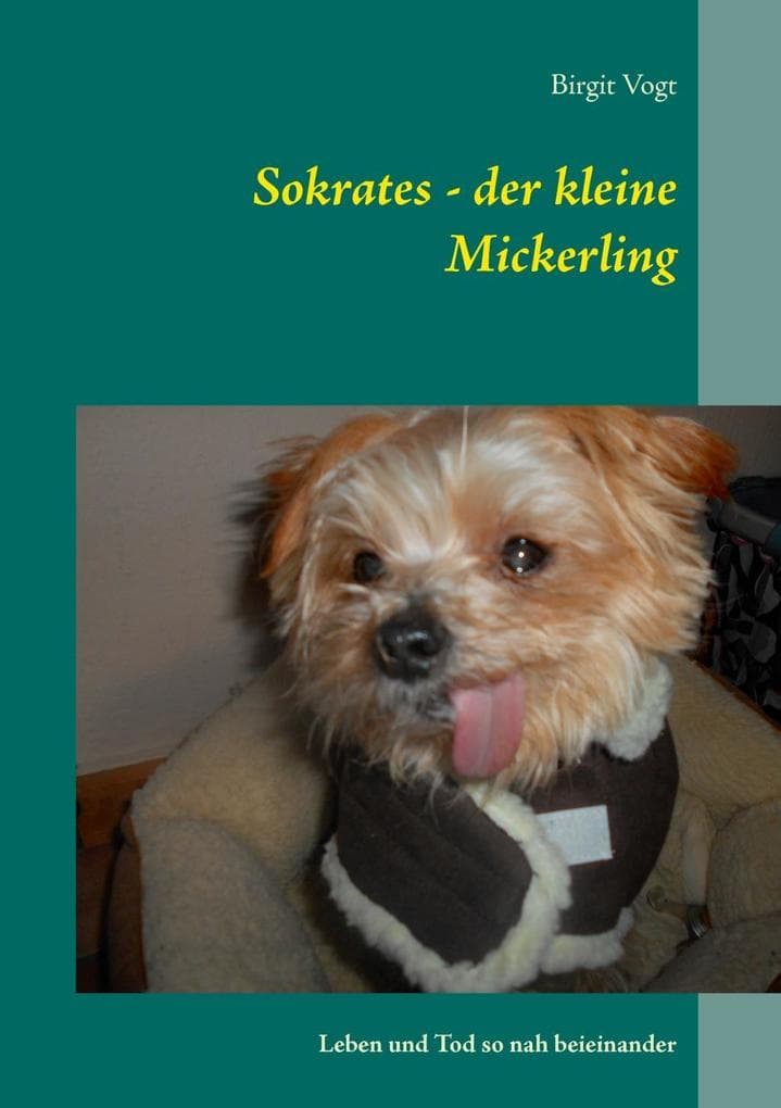 Sokrates - der kleine Mickerling: Leben und Tod so nah beieinander