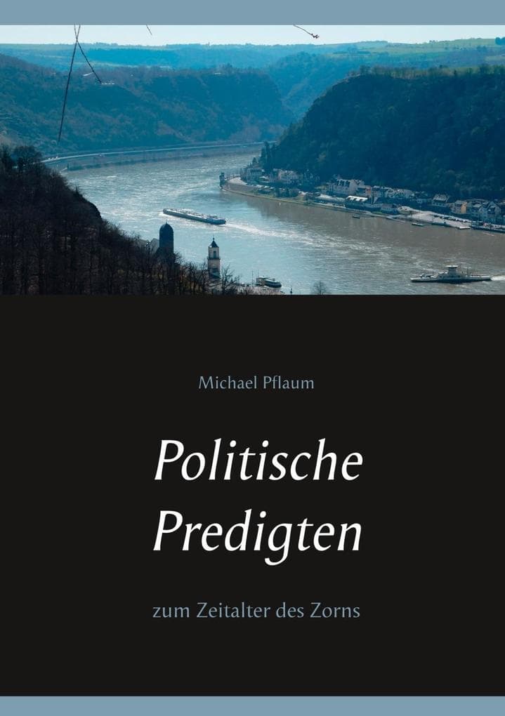 Politische Predigten: zum Zeitalter des Zorns