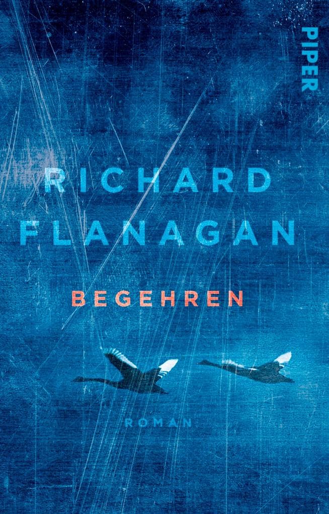 Begehren: Roman