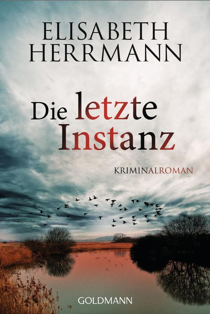 Die letzte Instanz: Kriminalroman