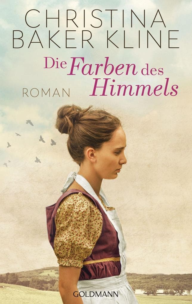 Die Farben des Himmels: Roman