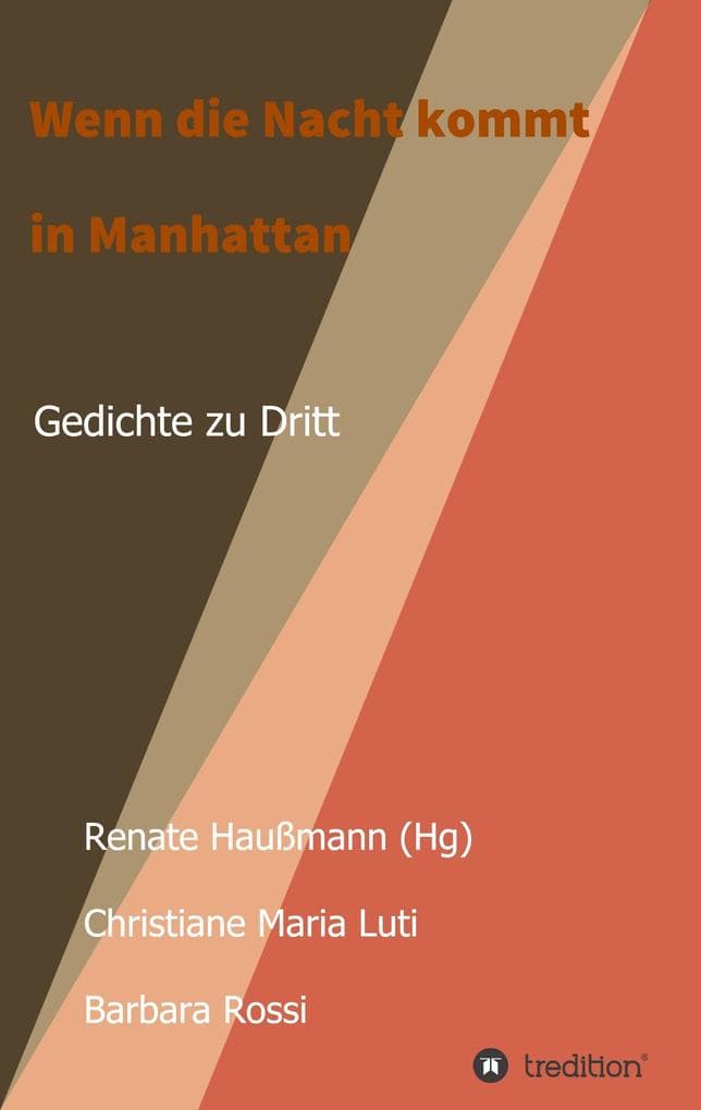 Wenn die Nacht kommt in Manhattan: Gedichte zu Dritt.