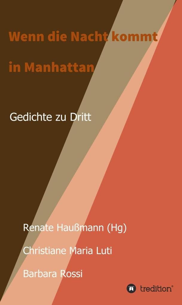 Wenn die Nacht kommt in Manhattan: Gedichte zu Dritt.