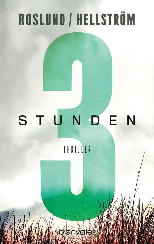 Drei Stunden: Thriller