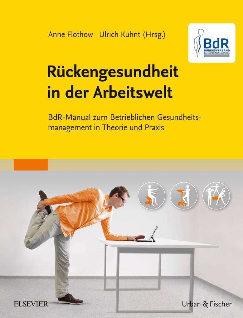 BdR-Manual Rückengesundheit in der Arbeitswelt: BdR-Manual Rückengesundheit in der Arbeitswelt