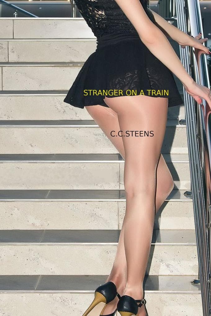 Stranger On A Train