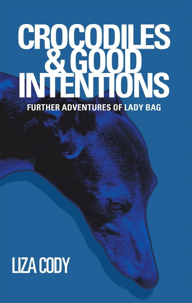 Crocodiles & Good Intentions: Further Adventures of Lady Bag