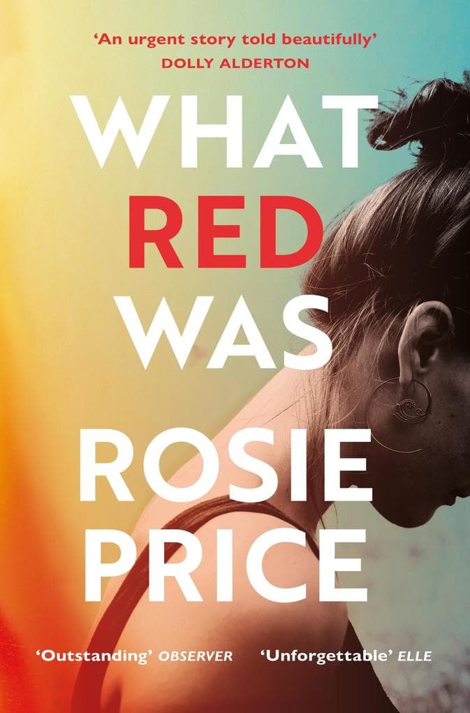 What Red Was: The powerful literary novel for readers of David Nicholls, Elizabeth Day, and Meg Wolitzer