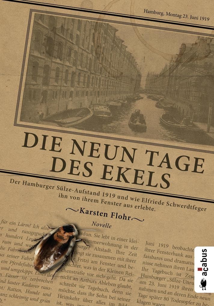 Die neun Tage des Ekels. Der Hamburger Sülze-Aufstand 1919 und wie Elfriede Schwerdtfeger ihn von ihrem Fenster aus erlebte: Eine Novelle
