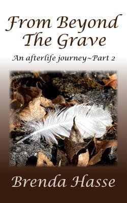 From Beyond The Grave: An afterlife journey ~ Part 2