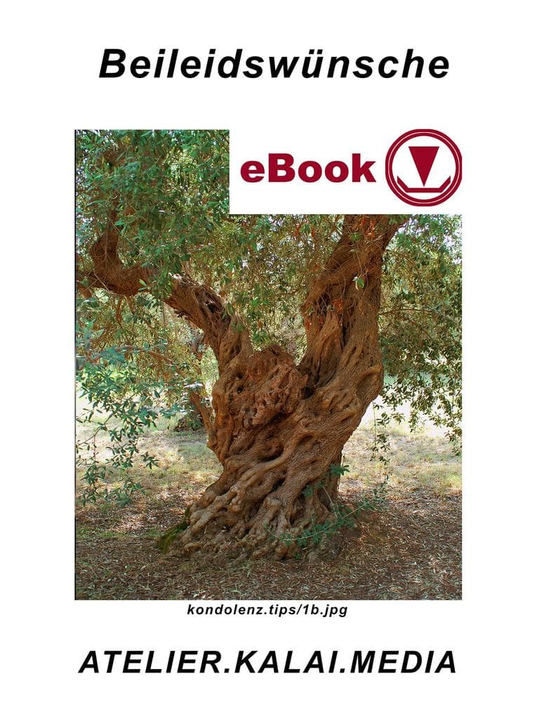 Beileidswünsche: Vorlagen für töstende Beileidsworte und Beileidssprüche (c) Beileidswünsche isbn-e.pub/9783734745522.jpg