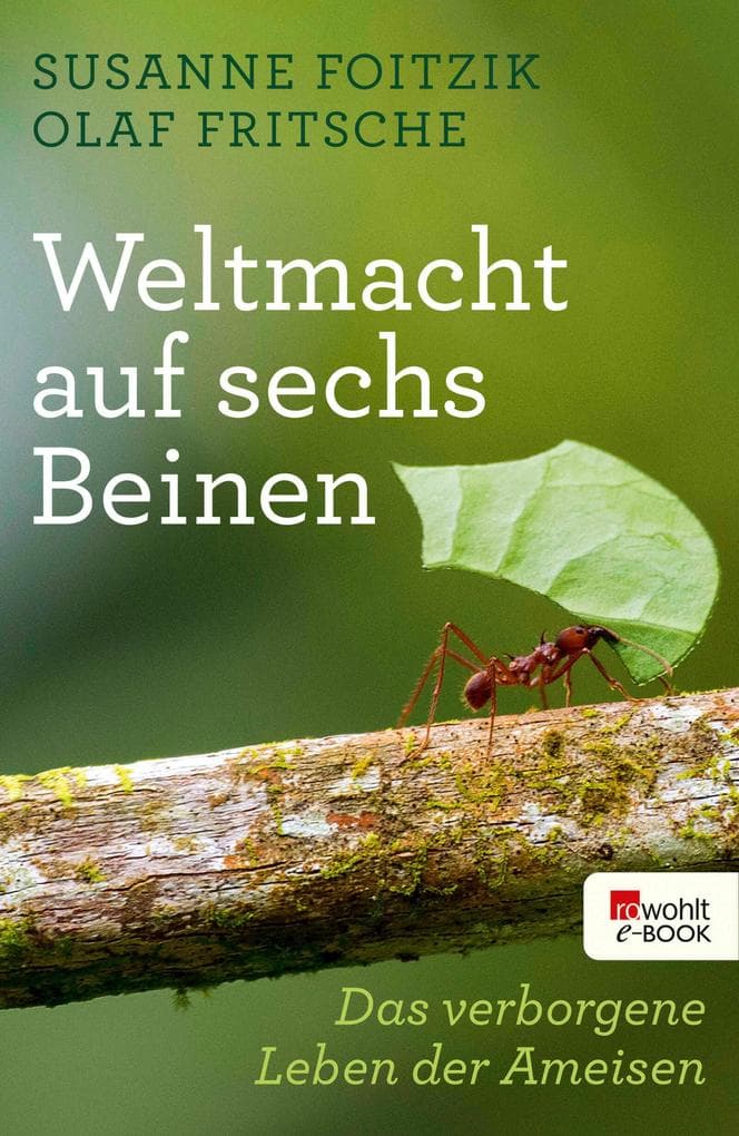 Weltmacht auf sechs Beinen: Das verborgene Leben der Ameisen