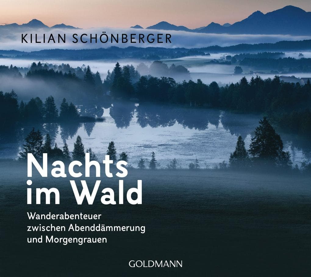 Nachts im Wald: Wanderabenteuer zwischen Abenddämmerung und Morgengrauen