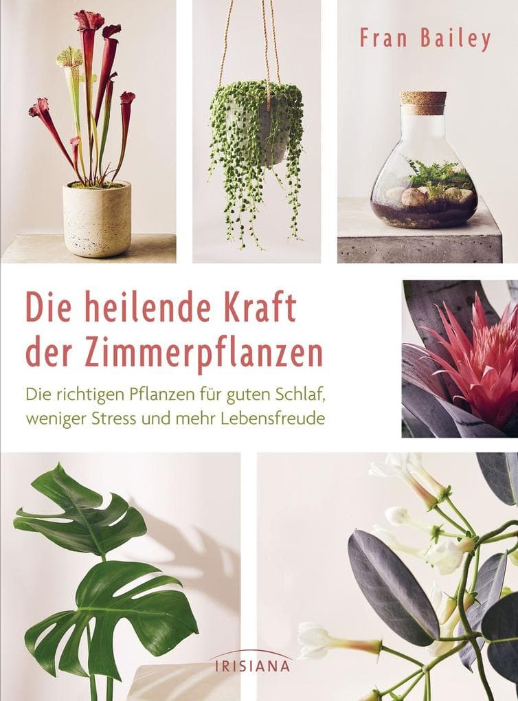 Die heilende Kraft der Zimmerpflanzen: Die richtigen Pflanzen für guten Schlaf, weniger Stress und mehr Lebensfreude - Rund 80 beliebte Zimmerpflanzen im Porträt: was sie brauchen, wie sie uns helfen