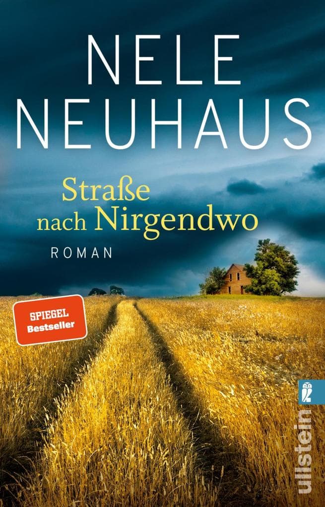 Straße nach Nirgendwo: Roman
