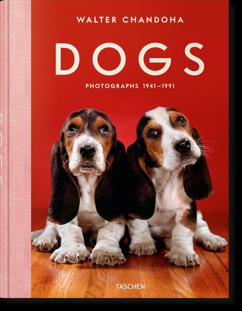 Walter Chandoha. Dogs. Photographs 1941-1991: Dogs. Photographs 19411991
