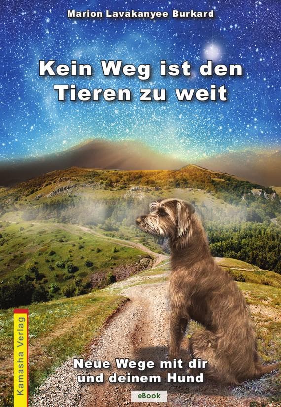 Kein Weg ist den Tieren zu weit: Neue Wege mit dir und deinen Hund