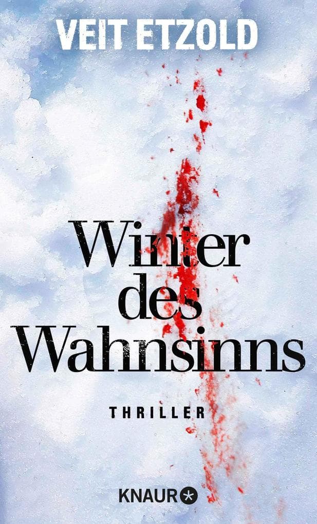 Winter des Wahnsinns: Thriller