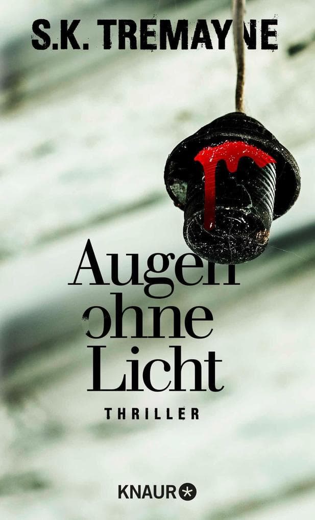 Augen ohne Licht: Thriller
