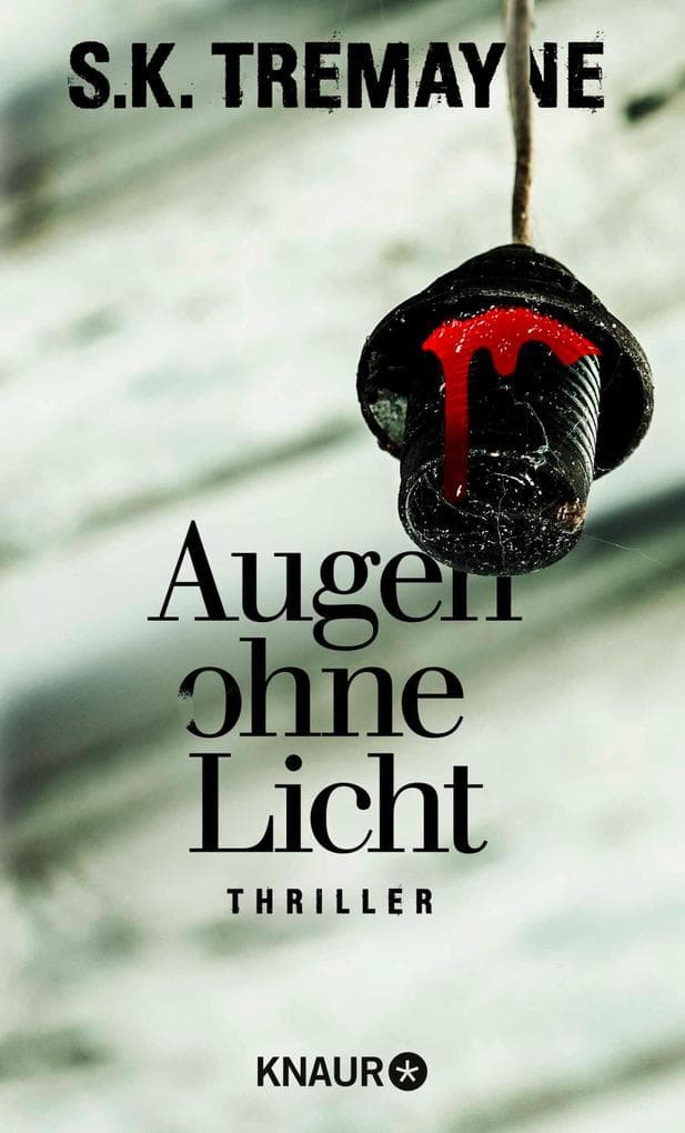 Augen ohne Licht: Thriller