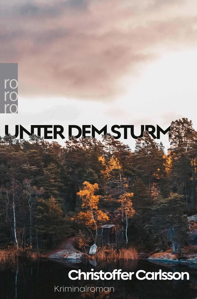Unter dem Sturm: Kriminalroman | Die Nummer 1 aus Schweden