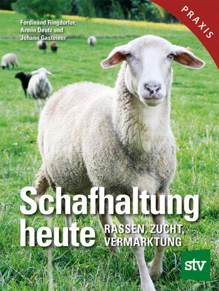 Schafhaltung heute: Rassen, Zucht, Vermarktung