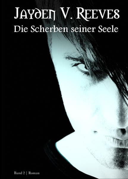 Die Scherben seiner Seele: Band 2