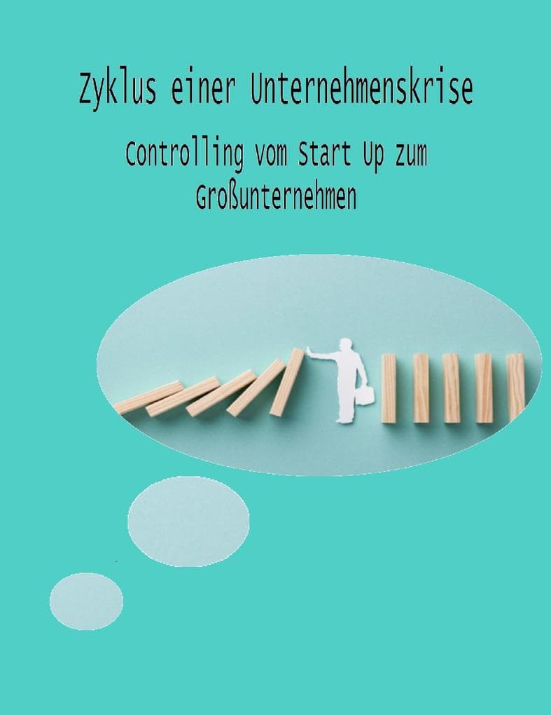 Zyklus einer Unternehmenskrise: Controlling vom Start Up zum Großunternehmen