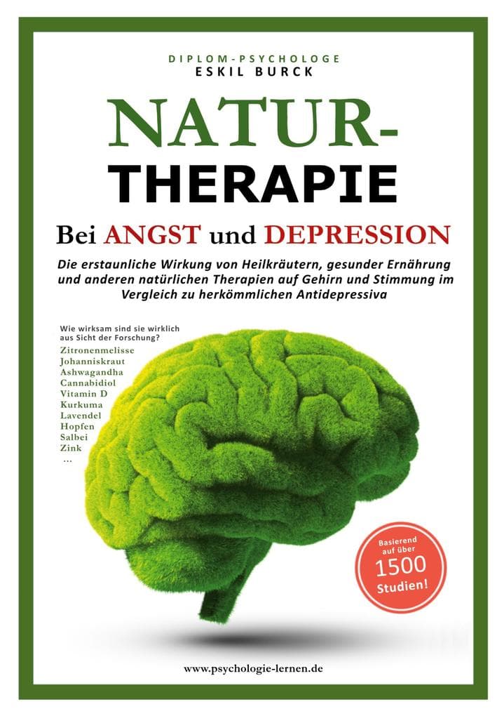 Naturtherapie bei Angst und Depression: Die erstaunliche Wirkung von Heilkräutern, gesunder Ernährung und anderen natürlichen Therapien auf Gehirn und Stimmung im Vergleich zu herkömmlichen Antidepressiva