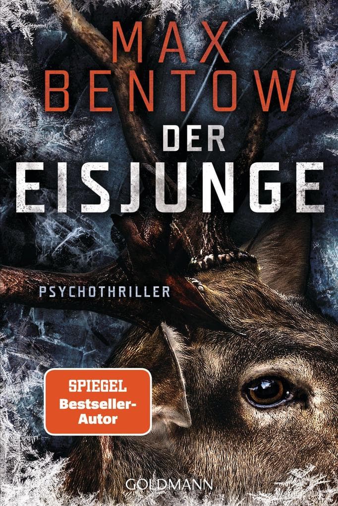 Der Eisjunge: Psychothriller