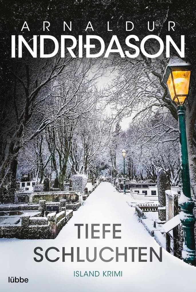 Tiefe Schluchten: Island Krimi