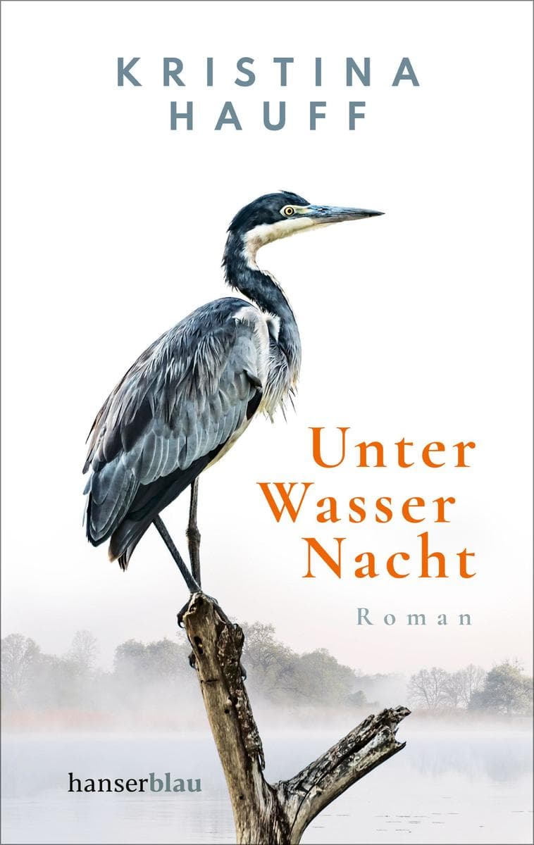 Unter Wasser Nacht: Roman. Ab 10.10. im ZDF unter dem Titel "Das verschwundene Kind"