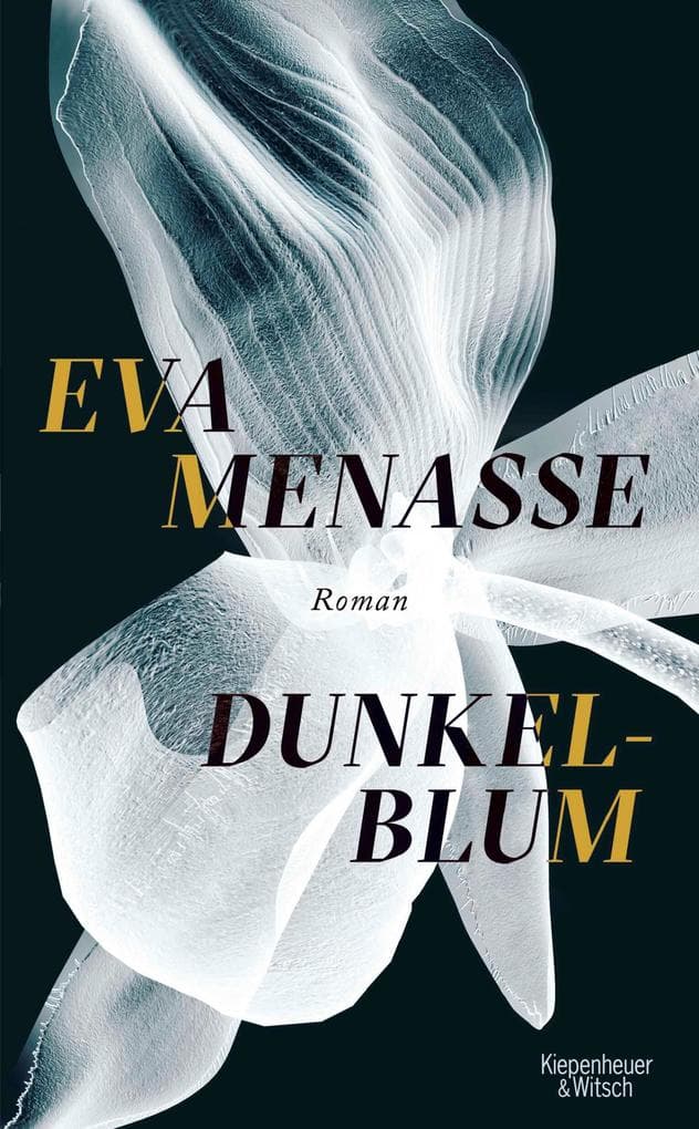 Dunkelblum: Roman