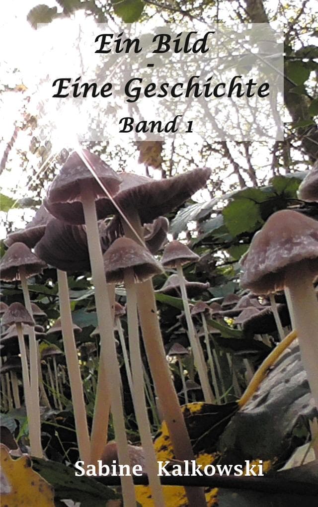 Ein Bild - Eine Geschichte: Band 1