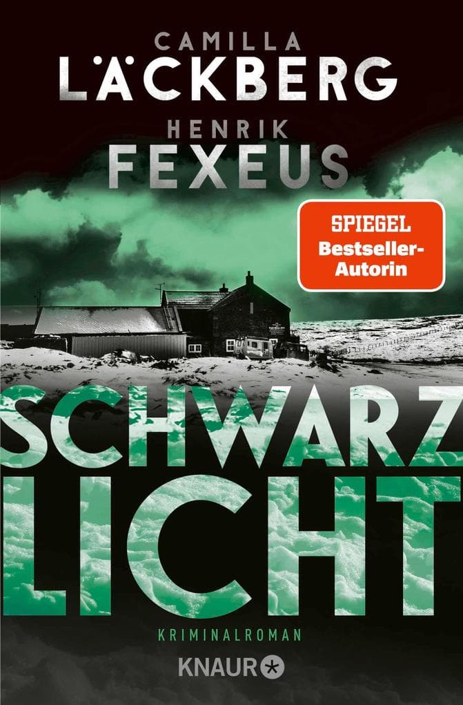 Schwarzlicht: Kriminalroman | Der Bestseller aus Schweden