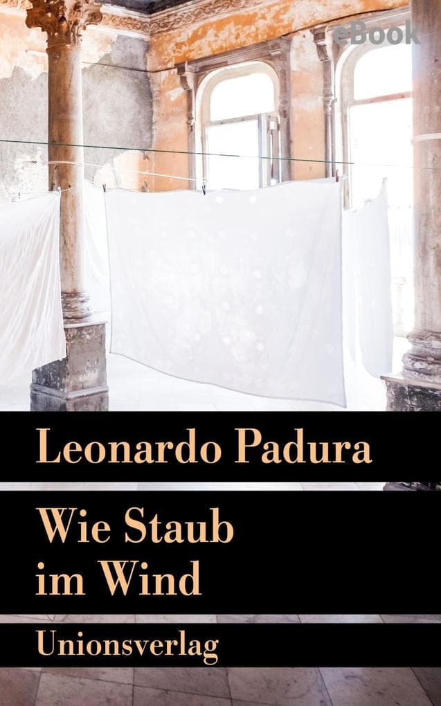 Wie Staub im Wind: Roman