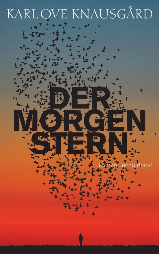 Der Morgenstern: Roman