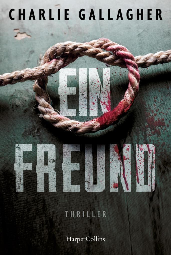 Ein Freund: Thriller