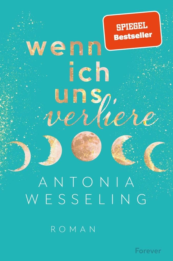 Wenn ich uns verliere: Roman