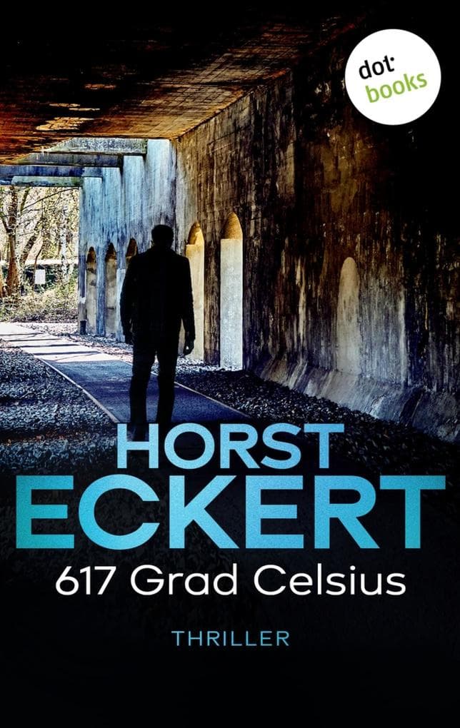 617 Grad Celsius: Thriller - Kripo Düsseldorf ermittelt: Band 8 | Abgründige Hochspannung aus Deutschland