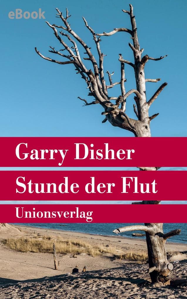 Stunde der Flut: Kriminalroman