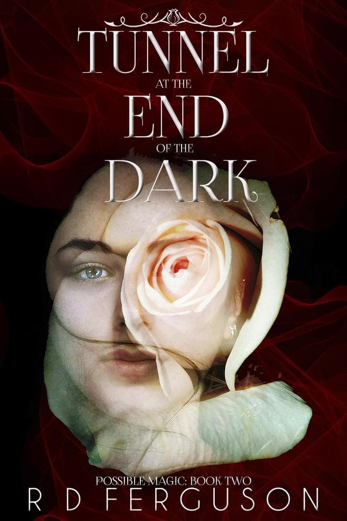 Tunnel at the End of the Dark (Possible Magic, #2)