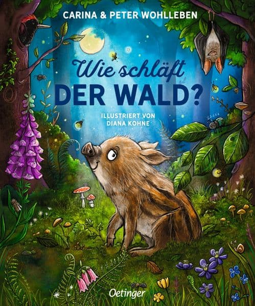 Wie schläft der Wald?: Nachhaltig hergestelltes Öko-Pappbilderbuch für die Kleinsten