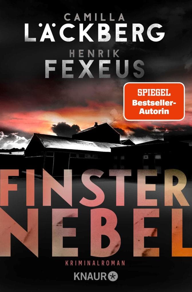 Finsternebel: Kriminalroman | Der Bestseller aus Schweden