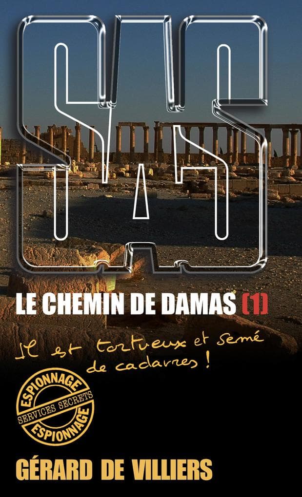 SAS 193 Le chemin de Damas T1: Il est tortueux et semé de cadavres !