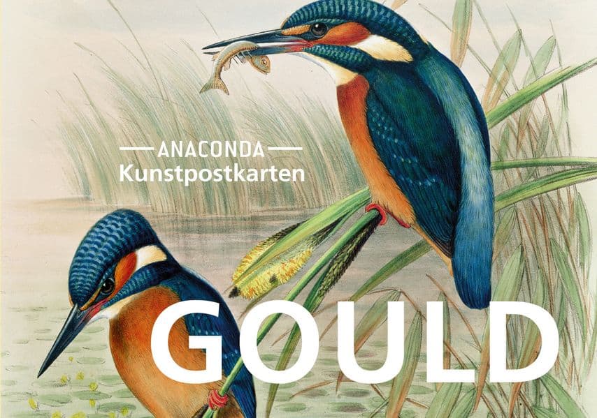 Postkarten-Set John Gould: 18 Kunstpostkarten aus hochwertigem Karton.